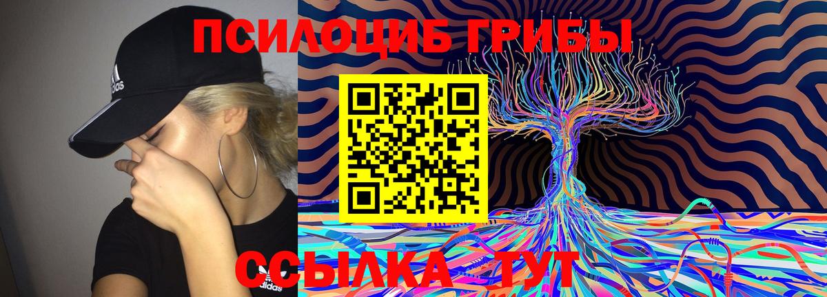 Псилоцибиновые грибы MAGIC MUSHROOMS Жуковский